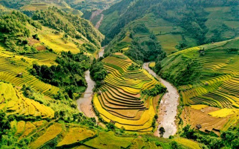 Ngắm nhìn những "dải lụa vàng" ở Mù Cang Chải